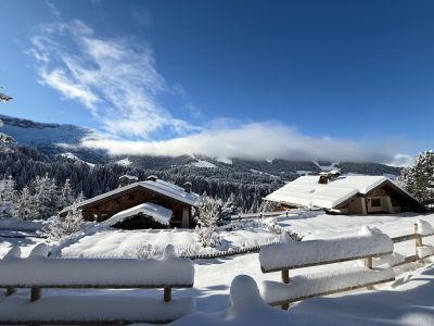 luxury chalet 12 Rooms for sale on MEGEVE (74120) Sale Luxury chalet Megève 12 Rooms 822 m²