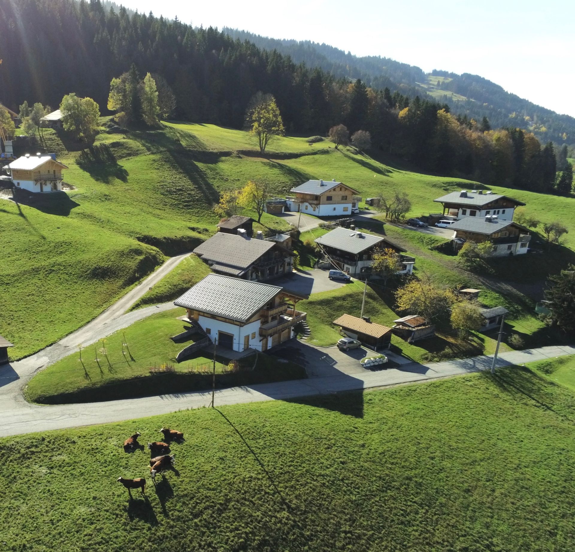 chalet de luxe 6 Pièces en vente sur MEGEVE (74120)
