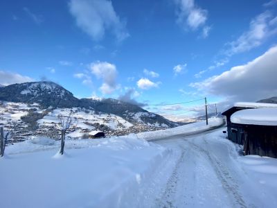 luxury chalet 4 Rooms for sale on MEGEVE (74120) Sale Luxury chalet Megève 4 Rooms 224 m²