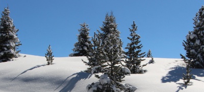 Vous souhaitez acquérir une propriété de prestige à Megève ?