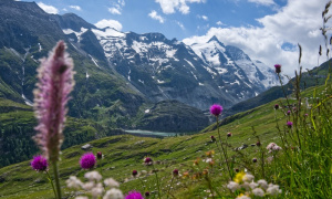 Connecté Nature