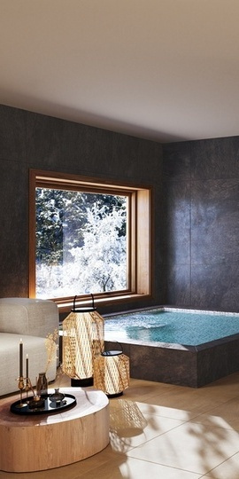 Swimming pool & Wellness